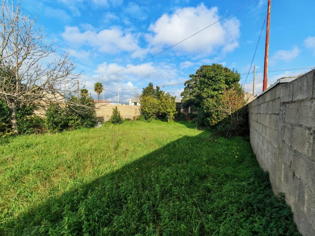 Giano Group Immobiliare